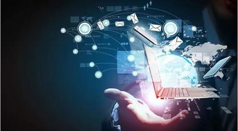 裂變營(yíng)銷(xiāo) 互聯(lián)網(wǎng)營(yíng)銷(xiāo)本質(zhì)與軟件開(kāi)發(fā)實(shí)踐